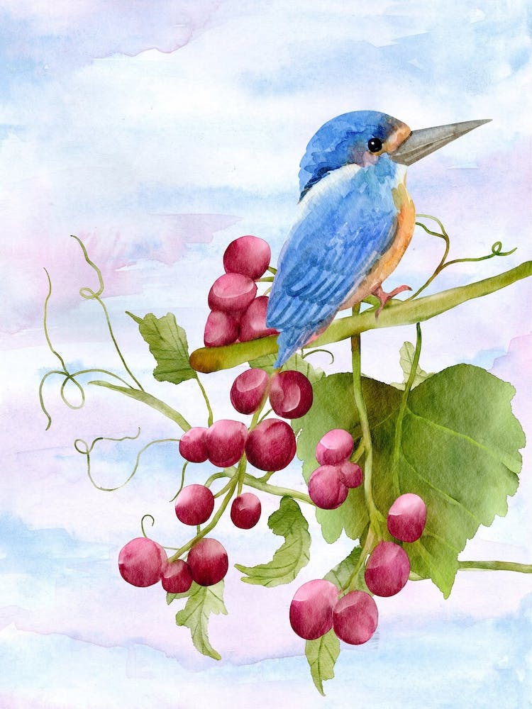 Blue Kingfisher Perched On Grapes
