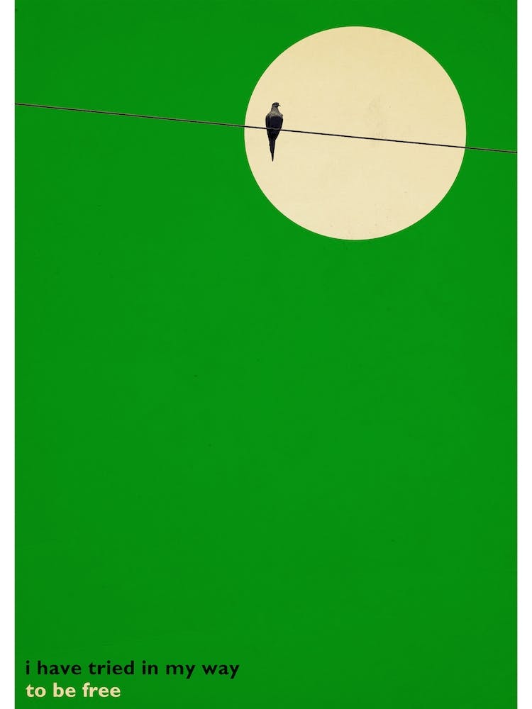 Bird On A Wire, Leonard Cohen