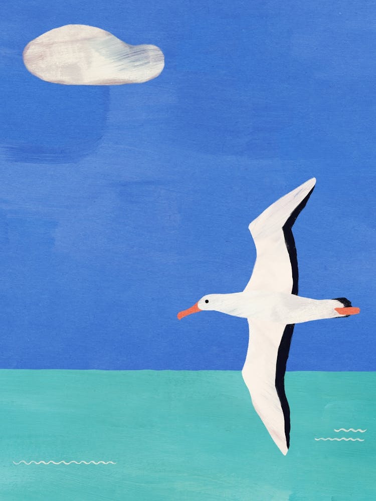 Albatross & Cloud |Summer Inspired Painting of Ocean, Sky and a Seagull| Bird Art Illustration