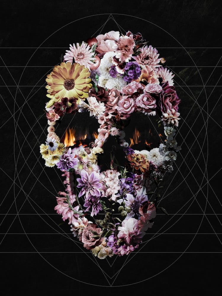 Upland Skull