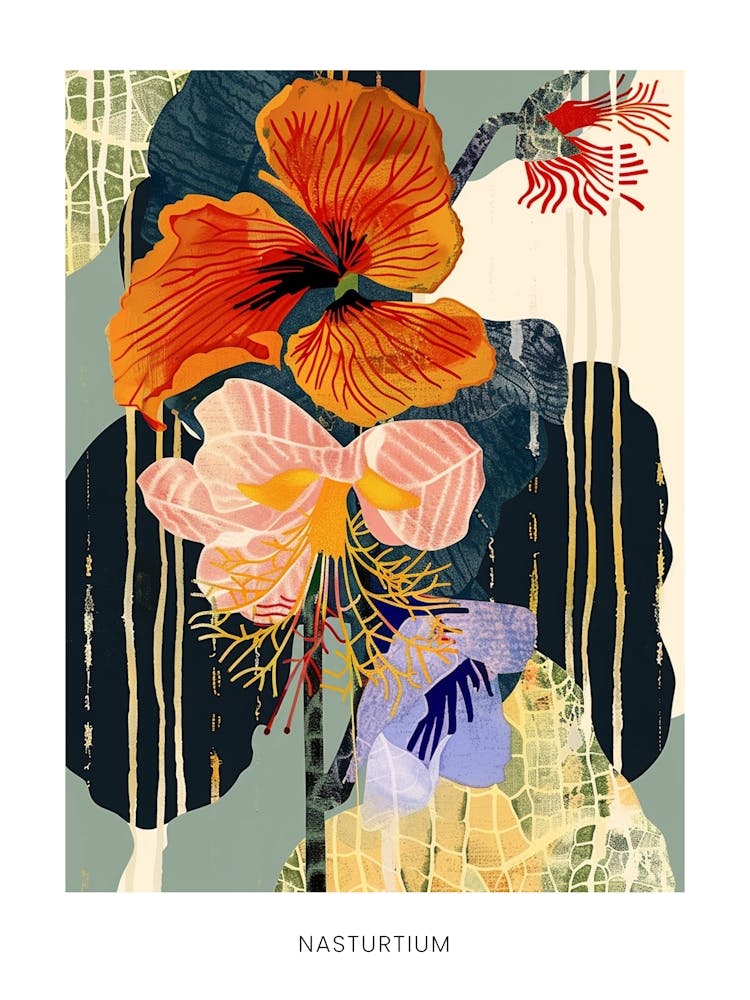 Farbenfrohe Blumenillustration Poster Kapuzinerkresse 4