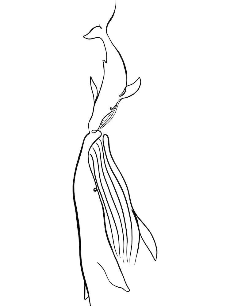 Whales One line Art