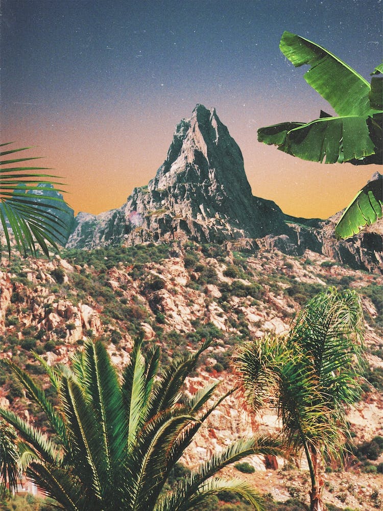 Mountain Peak And Palm Trees