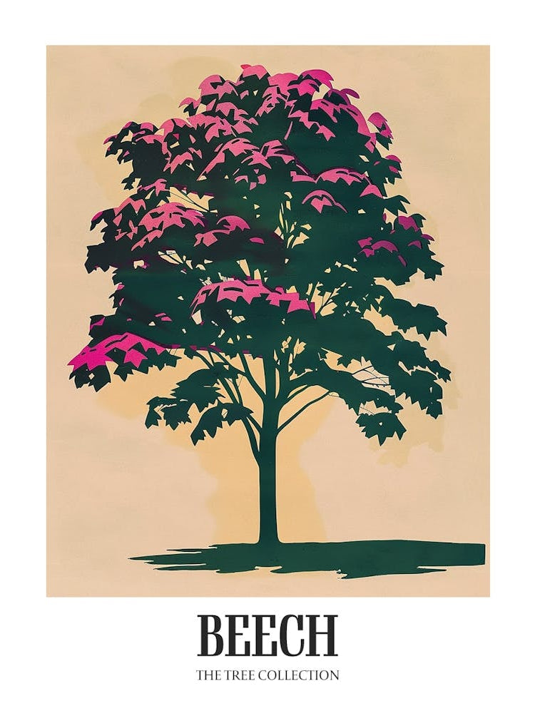 Beech Tree Colourful Illustration 1 Poster