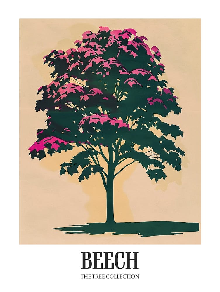 Beech Tree Colourful Illustration 1 Poster