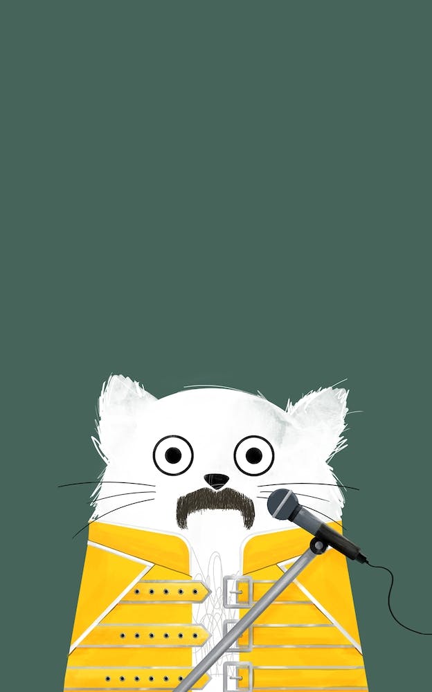 Cat Freddie