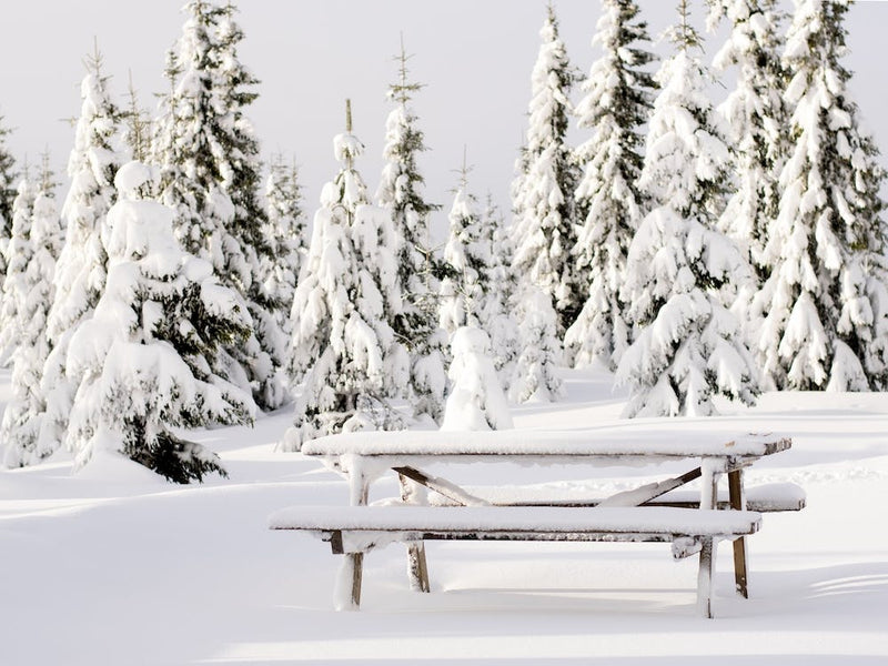 Snowy bench in Sjusjøen, Norway