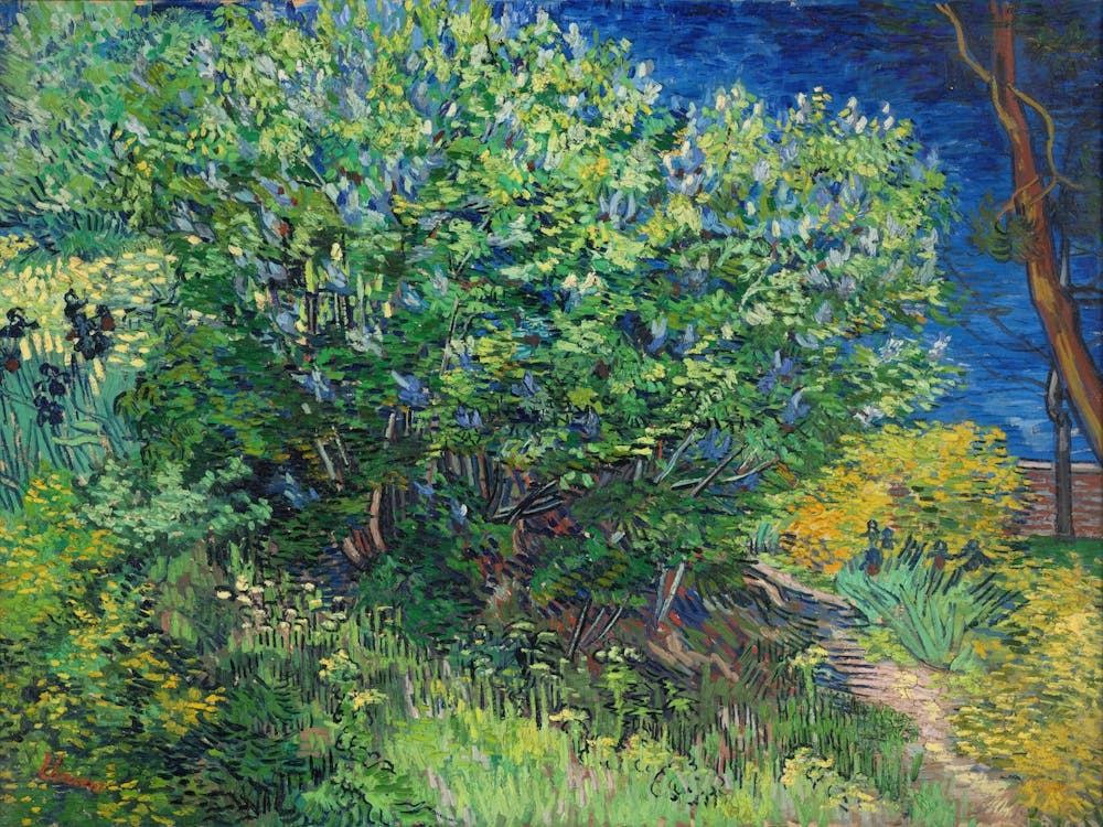 Lilac Bush (1889), Vincent Van Gogh