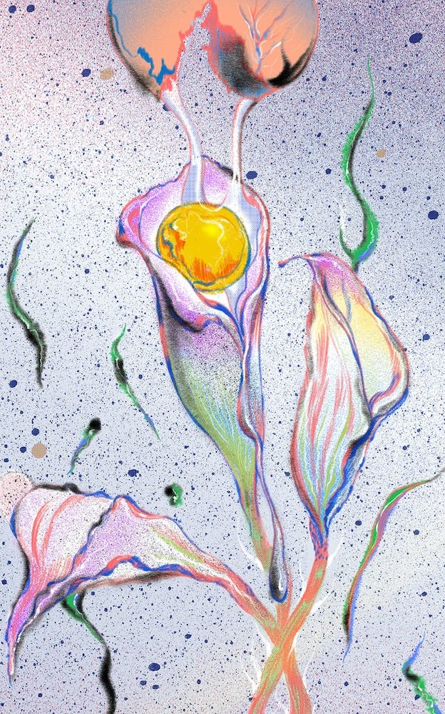 Lily