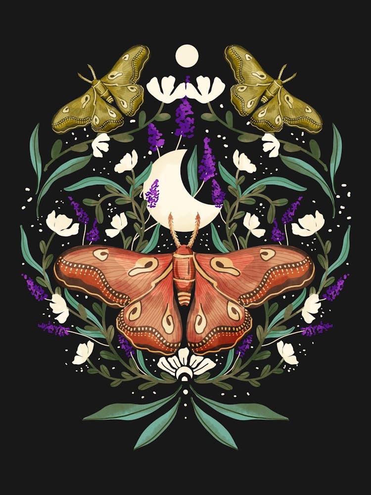 Moth And Flowers