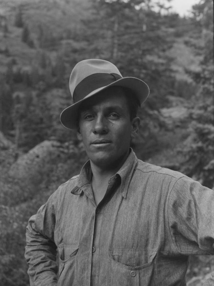 Sheepherder, Ouray County, Colorado By Russell Lee