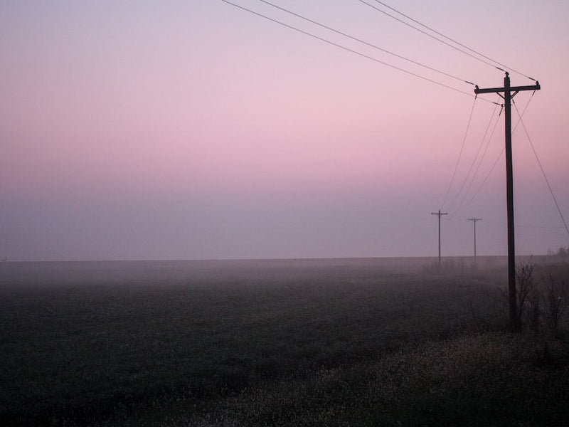 Pink Fog