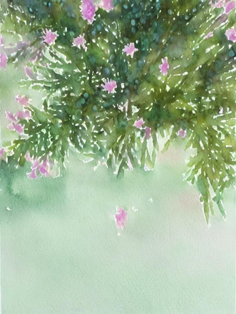 Acropora Humilis Ii Storybook Watercolour