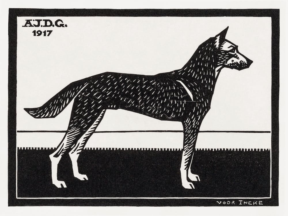 Dog, Julie De Graag
