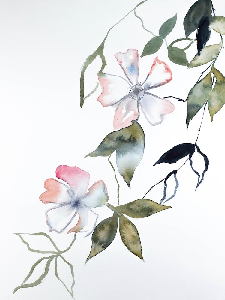 Cherry Blossom 14