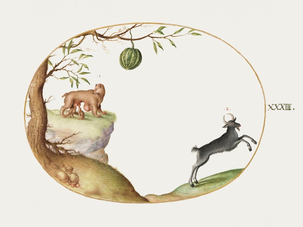 Simivulpa And Ibex (1575–1580), Joris Hoefnagel