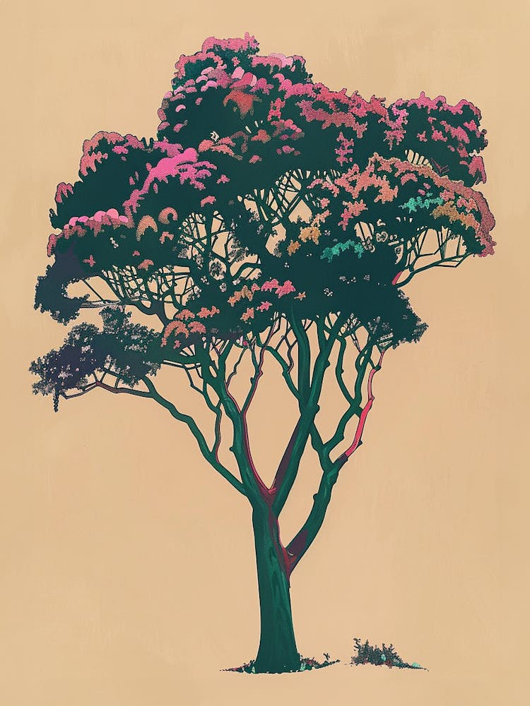 Mahogany Tree Colourful Illustration 1
