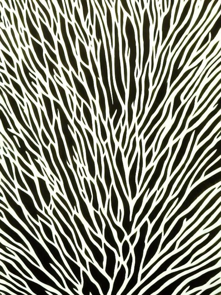 Acropora Solitaryensis Linocut