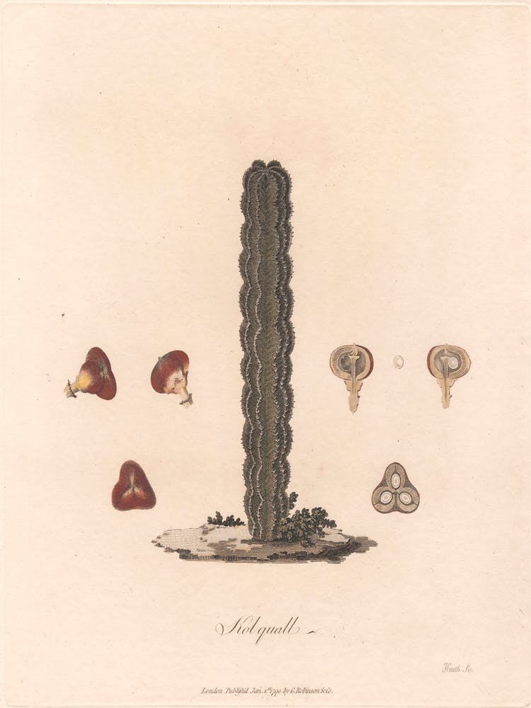 Kolquall (1790), James Heath