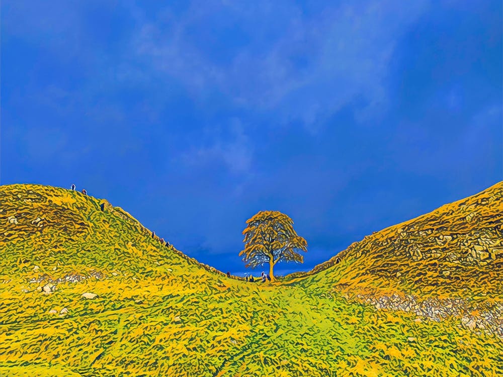 Sycamore Gap Hadrians Wall 1