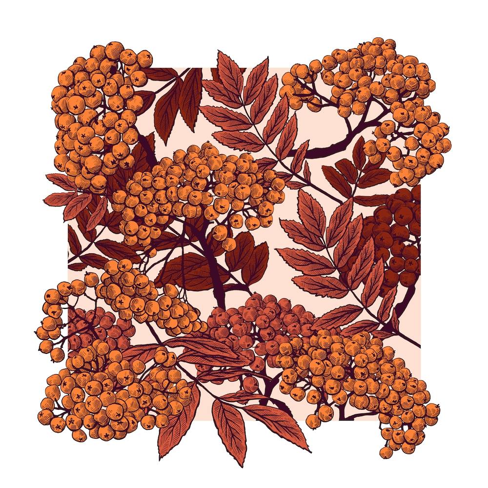 Seasons Fall Square