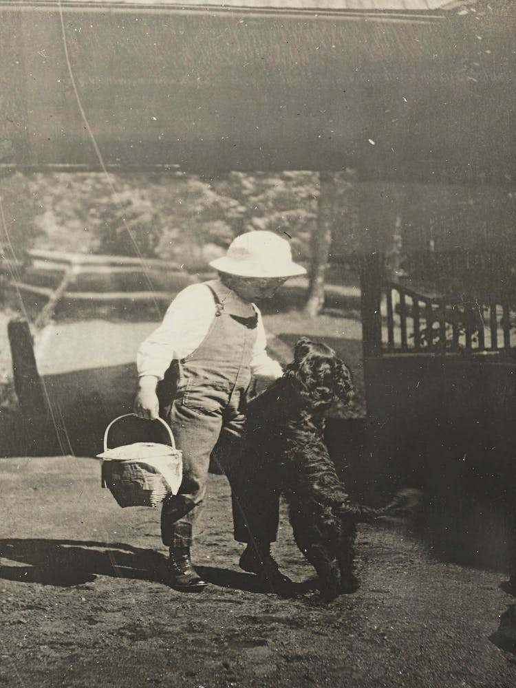 Untitled (Niece Elizabeth with “Inky” at Oaklawn) (ca. 1903), Alfred Stieglitz