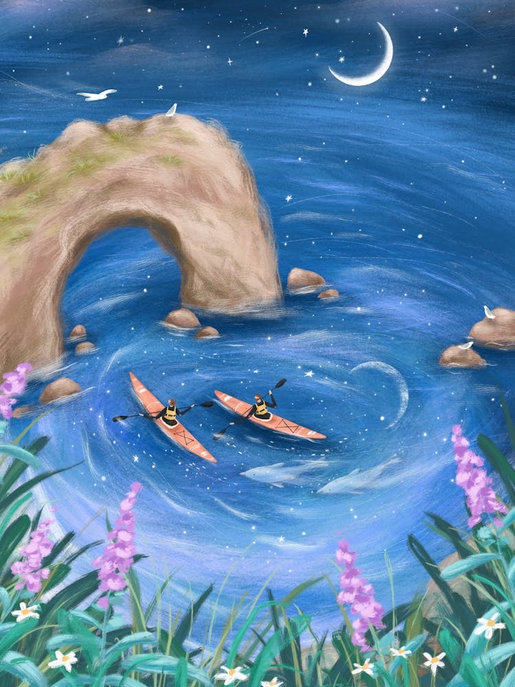Ocean Kayakers