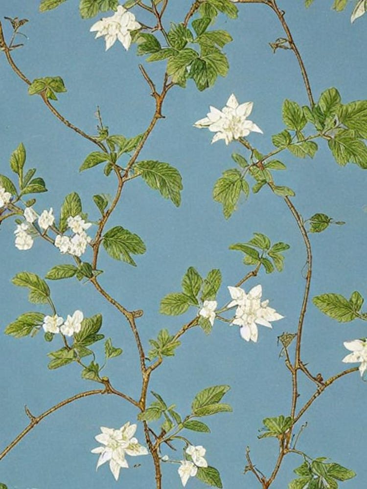 Yuzu Flowers Vintage Botanical Fruit