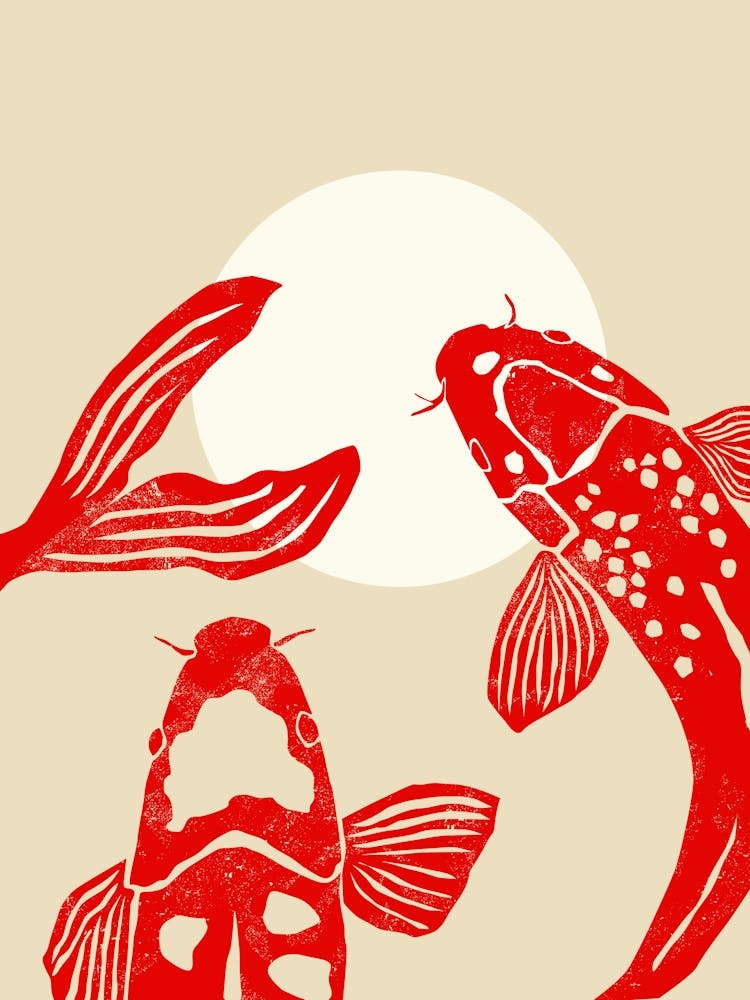 Chinese Koi Fish