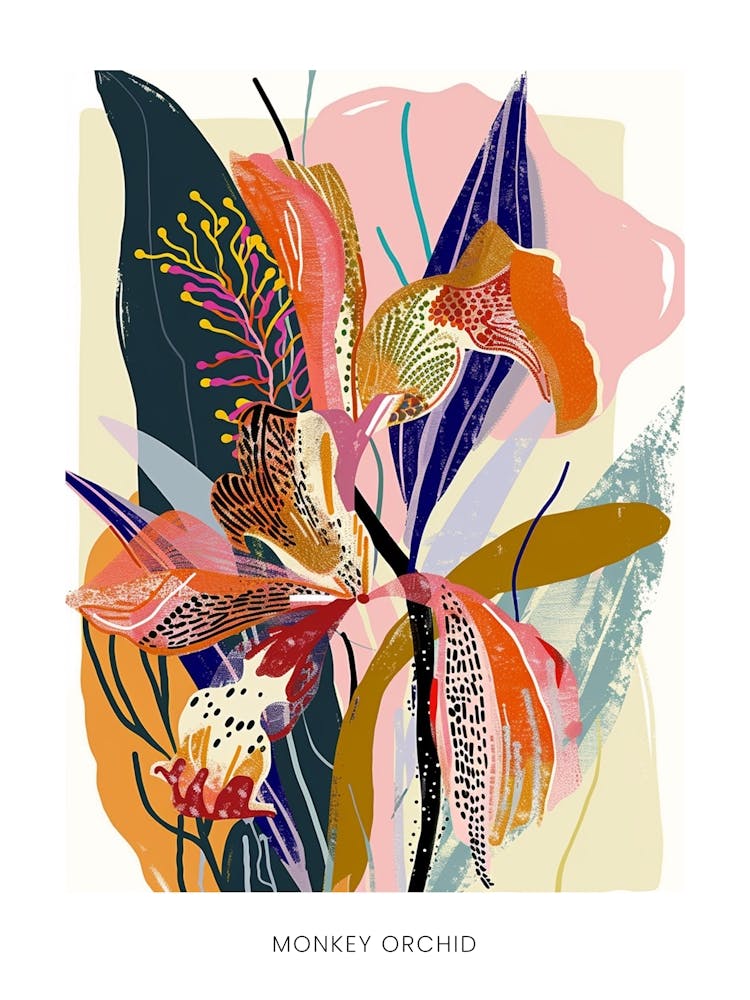 Colourful Flower Illustration Poster Monkey Orchid 1