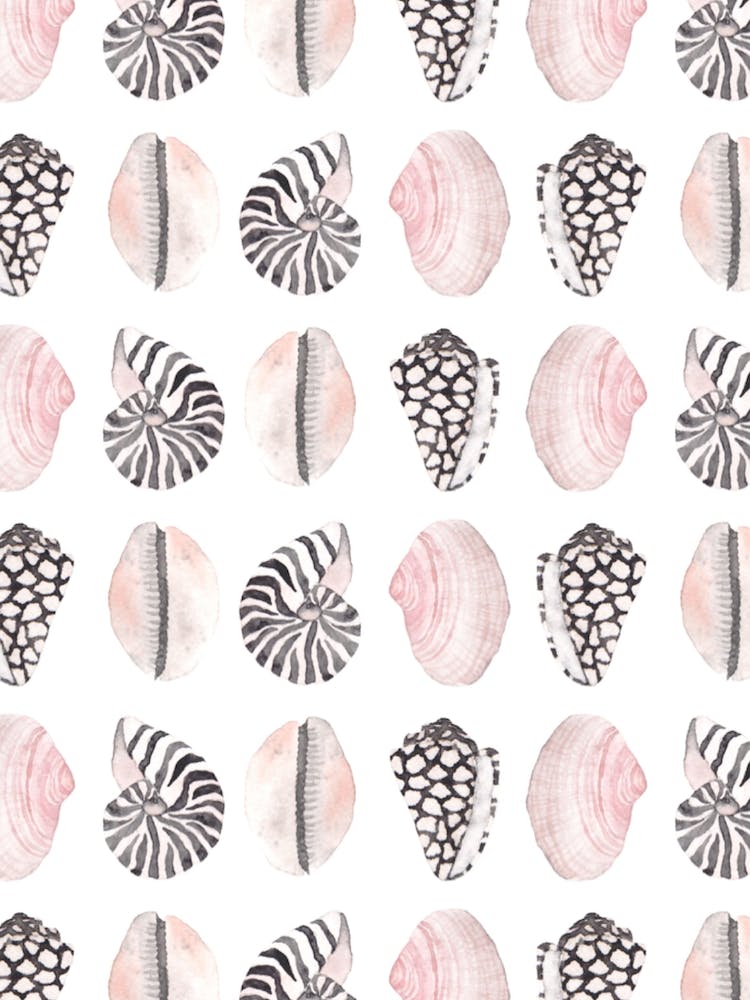 Seashell Pattern