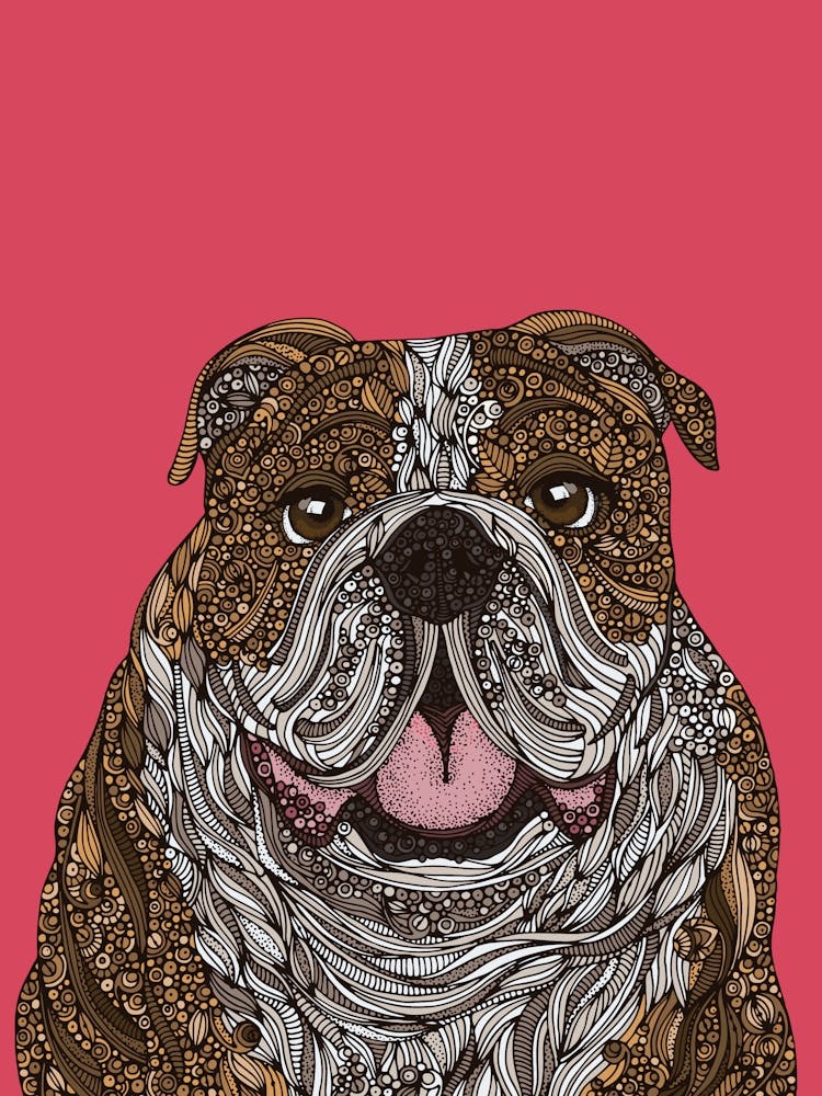 Billy le bouledogue anglais