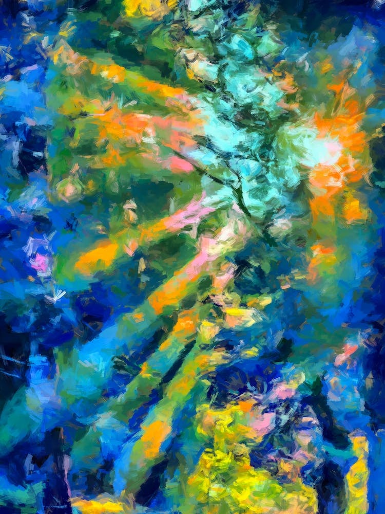 Sun Kissing The Forest