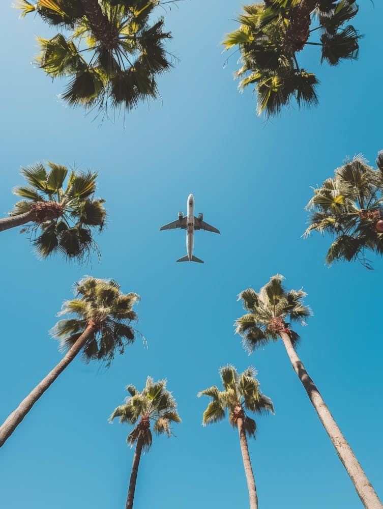 Palm Trees In The Sky 14