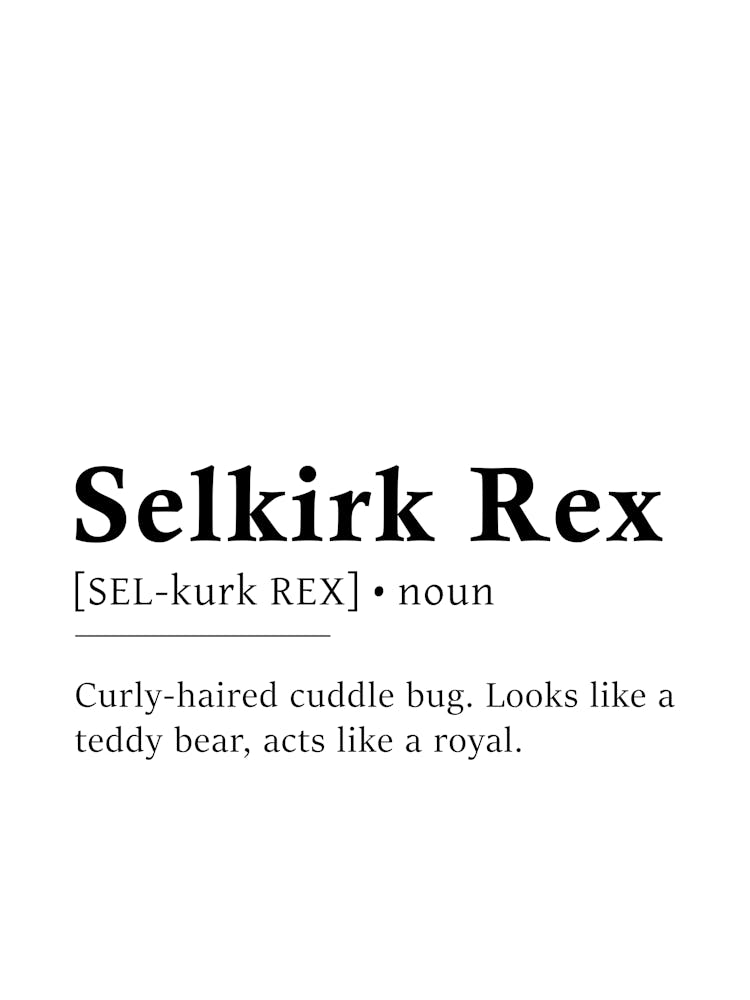 Selkirk Rex Definition Poster - Dictionary