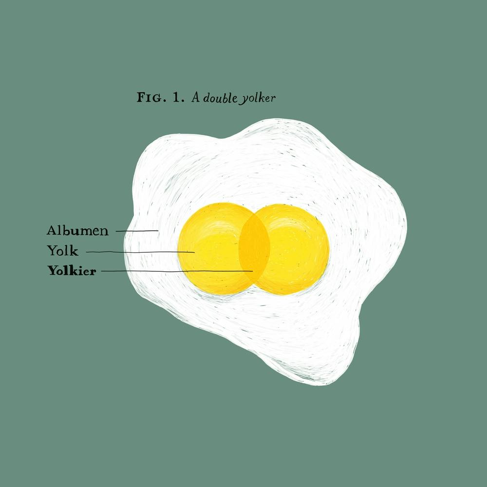 Double Yolker Egg Square