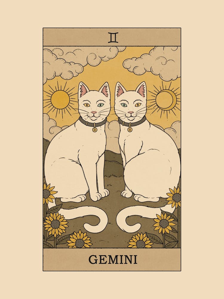 Gemini Cat