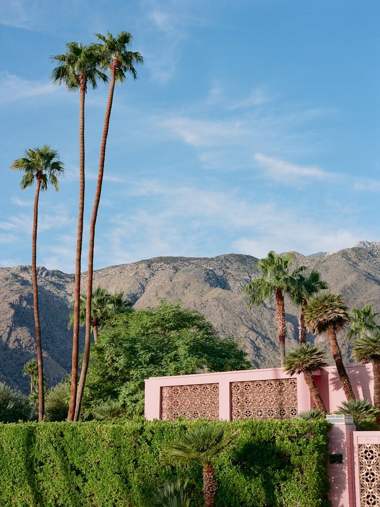 Palm Springs Pink House on Film