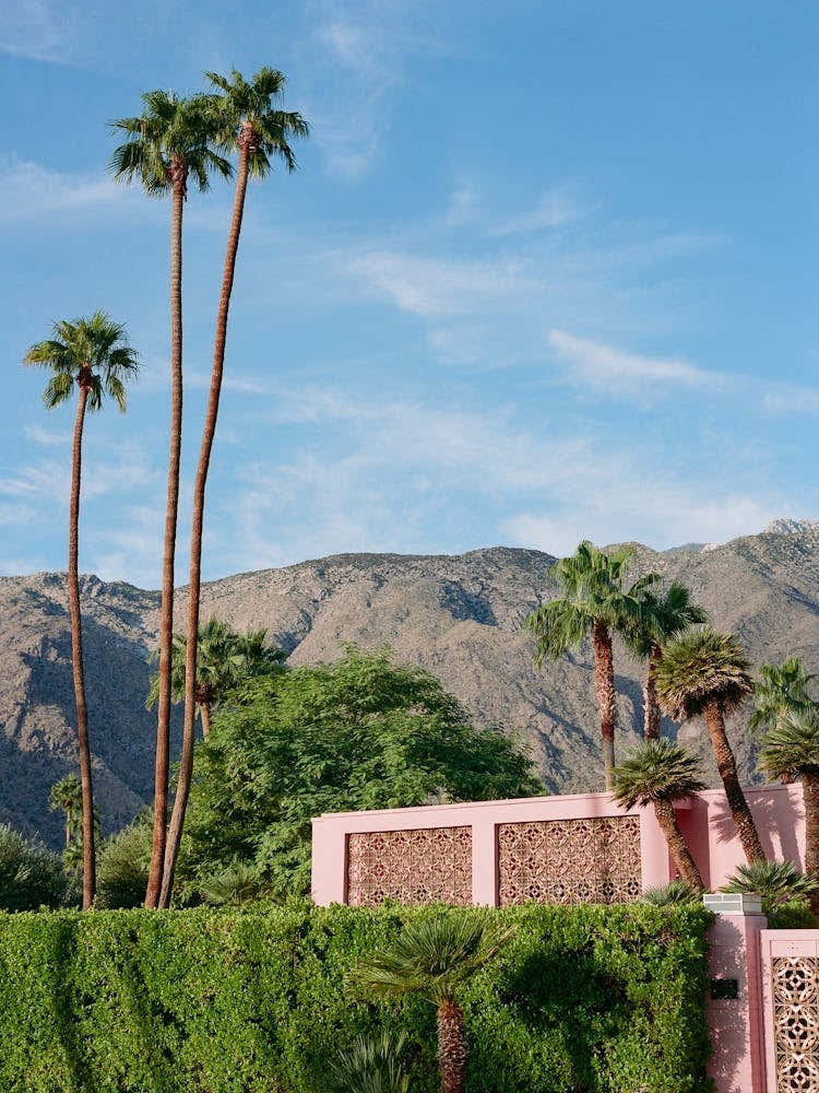 Palm Springs Pink House on Film
