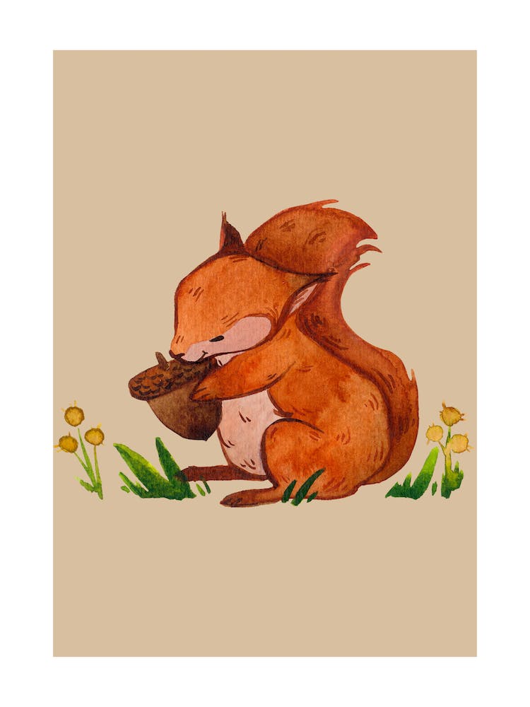 Eichhörnchen