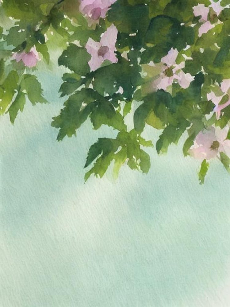 Favia Ii Storybook Watercolour