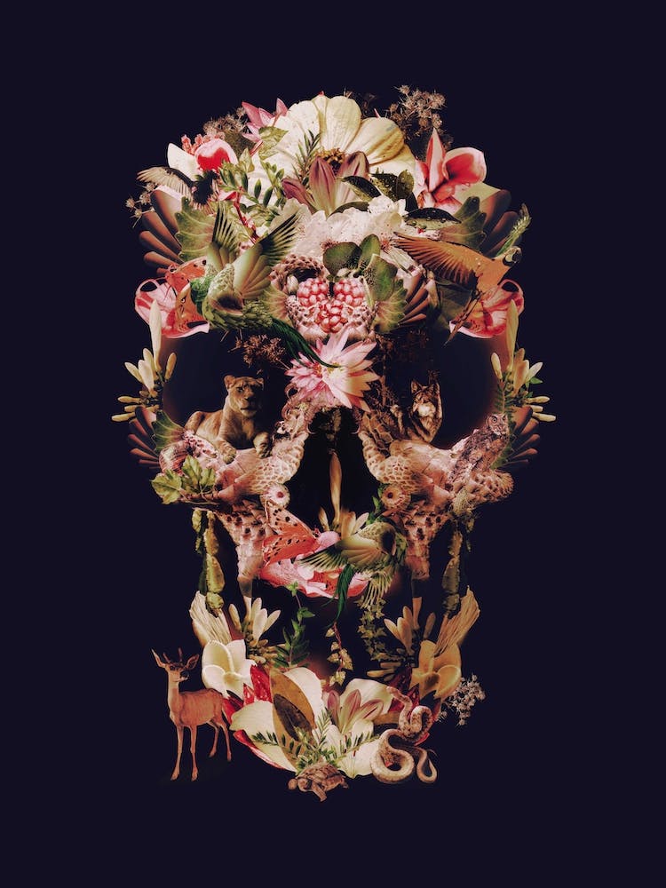 Jungle Skull