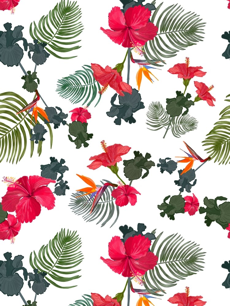 Hibiscus Heaven Bird