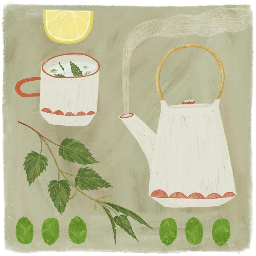 Nettle Tea Square
