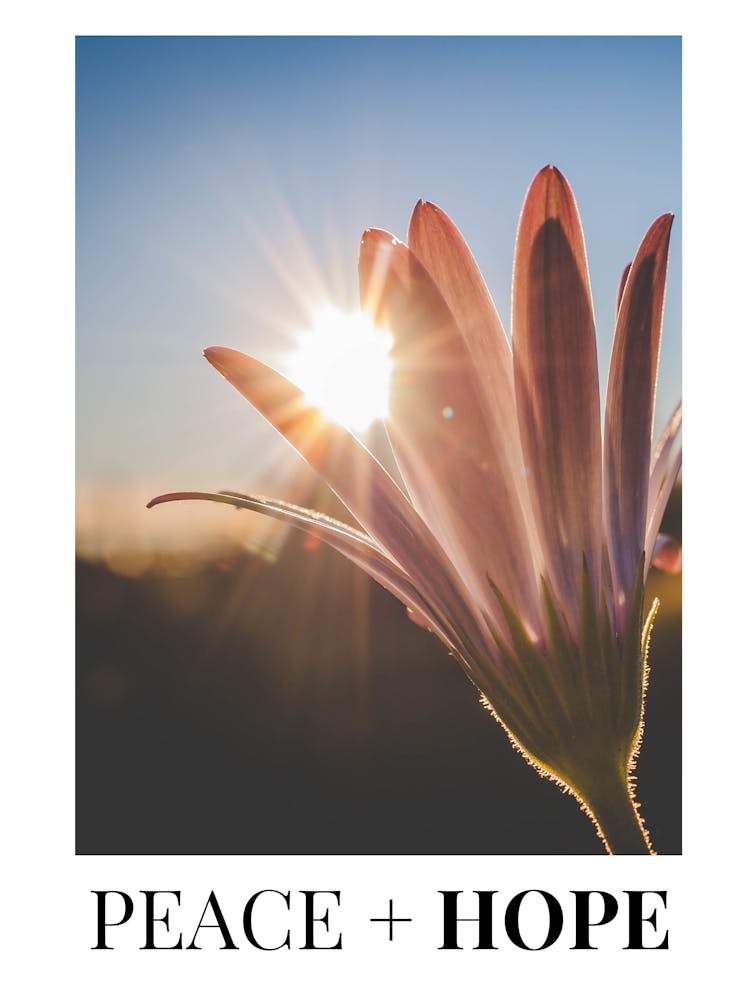 Peace And Hope