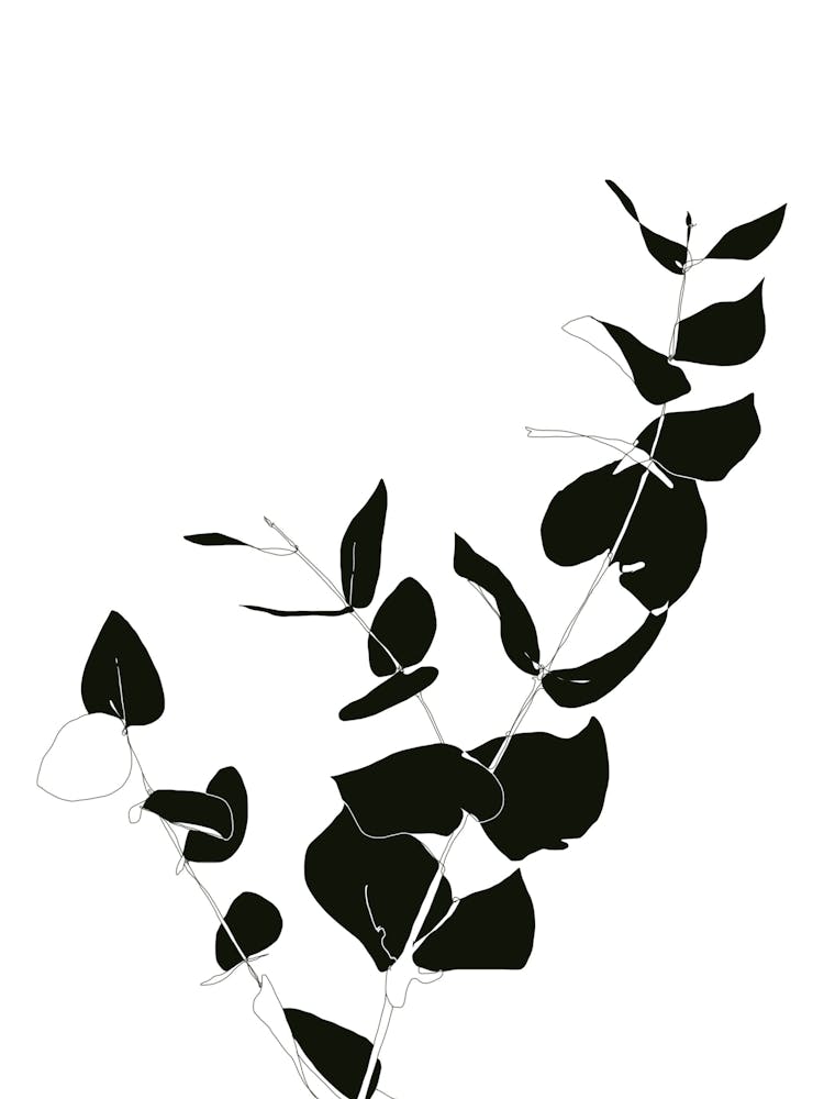 Botanical study - two