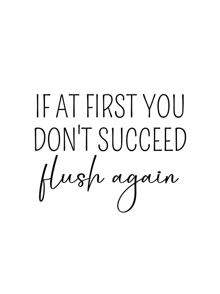 If At First You Don't Succeed Flush Again Funny Bathroom Wall