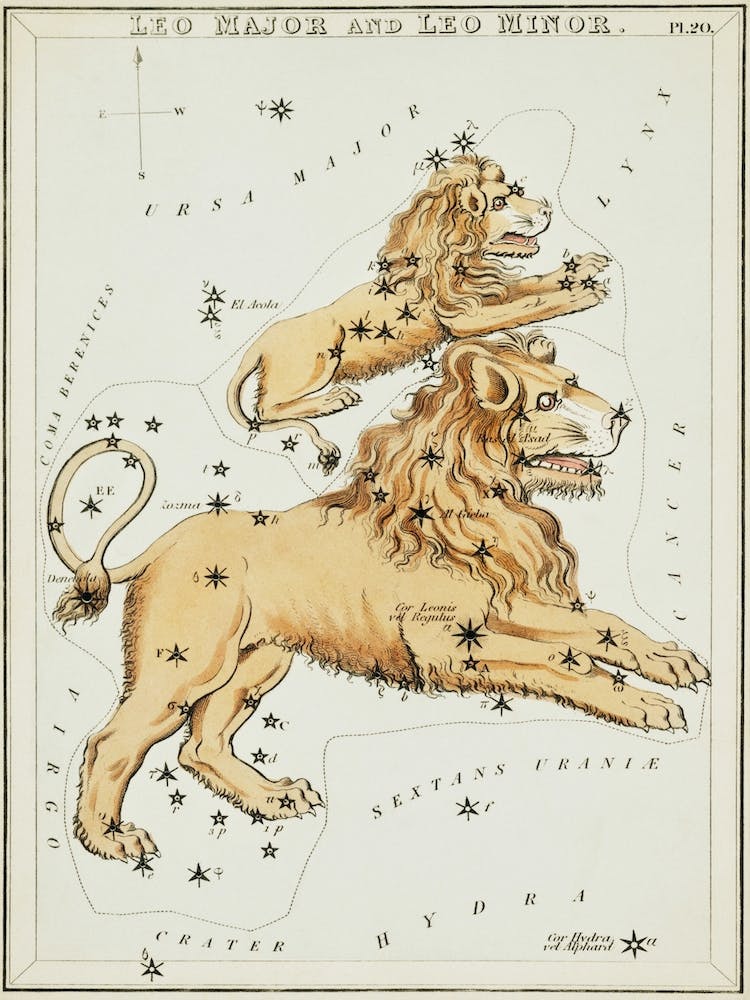 Leo Major