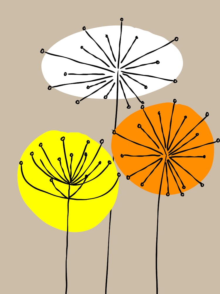 Dandelions