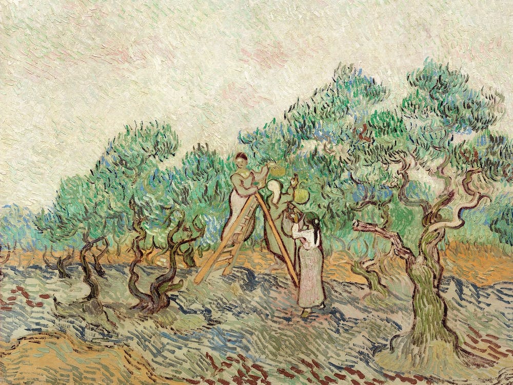 The Olive Orchard, Vincent Van Gogh